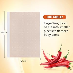 Imported Capsaicin Patches,4.72"x7.08" Hot Capsicum Pain Relief Patch - Pack of 10