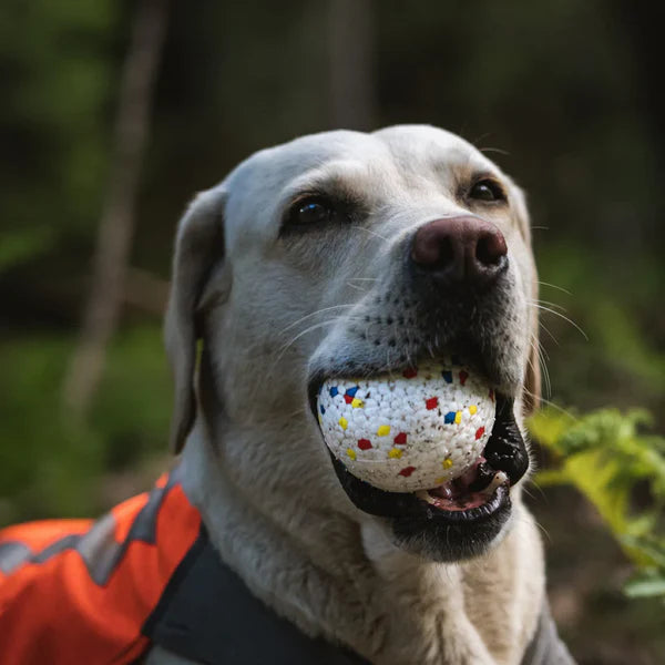Indestructible Chew Ball for Dogs – Tough, Floatable & Safe ETPU Bite Resistant High